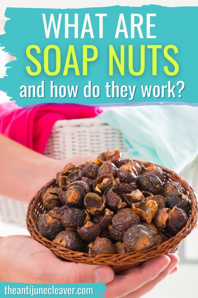Do Soap Nuts Really Work? Haus of Boys