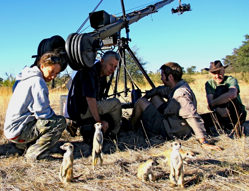 Meerkat Manor Flower Dies