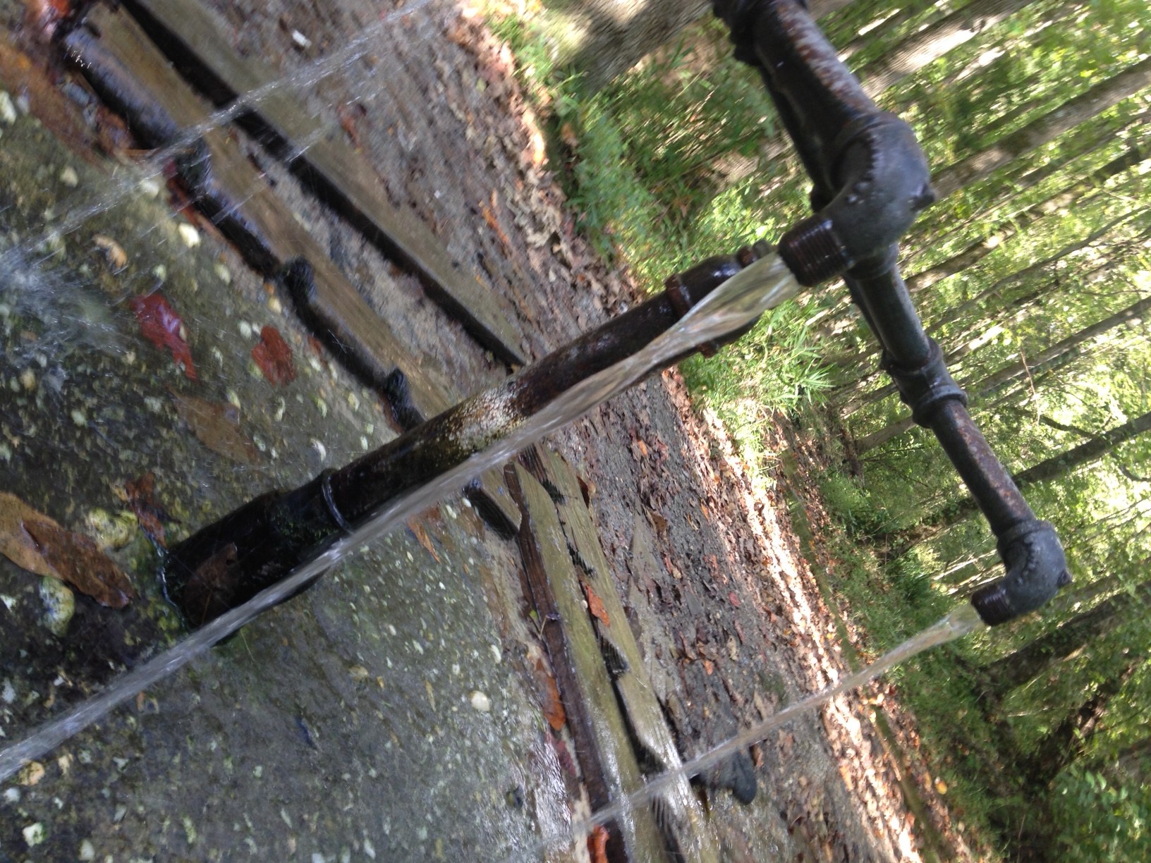 God's Acre Healing Springs in Blackville, South Carolina • The April Blake