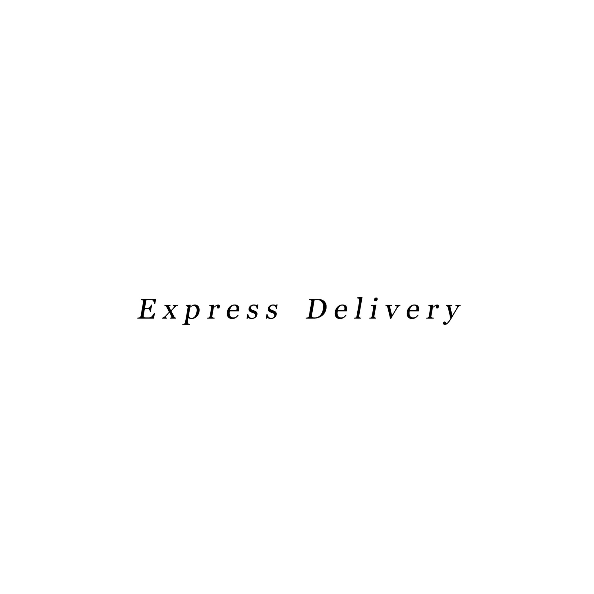 Express Delivery Option Alguacil & Perkoff