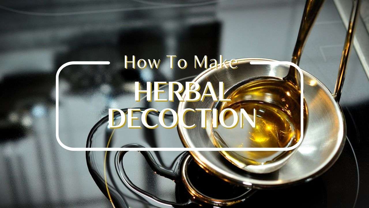 Making an herbal decoction easily The Aquarius Bus