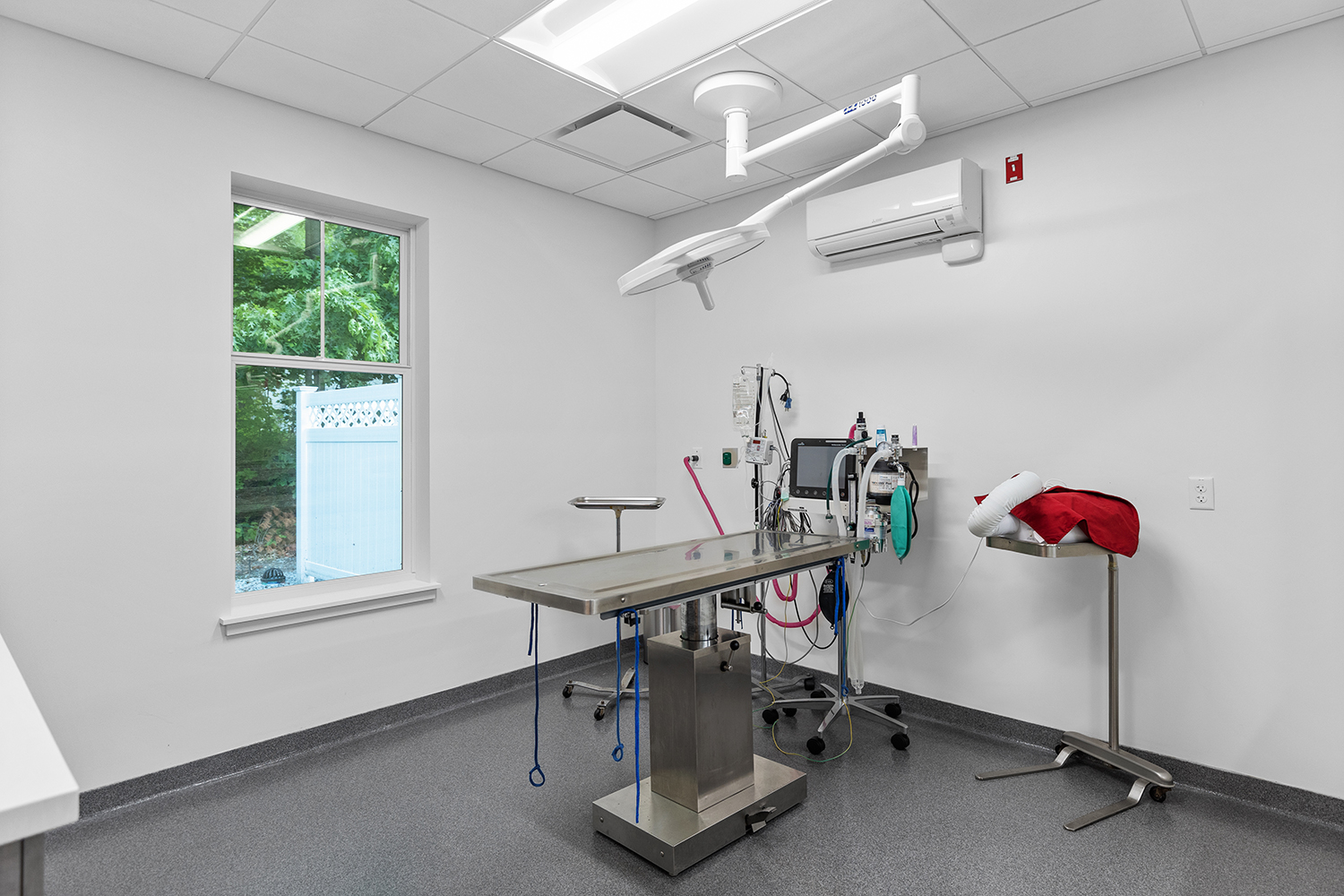 Lowell Road Veterinary Center NH Pet Physical Rehabilitation Center