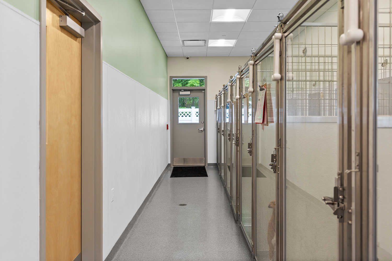 Lowell Road Veterinary Center NH Pet Physical Rehabilitation Center