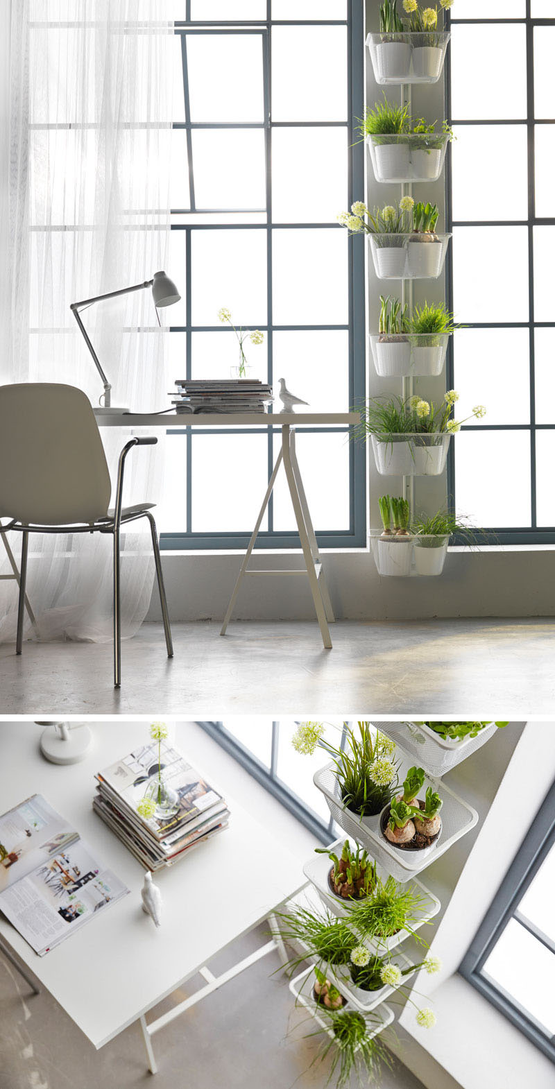 53 Indoor Garden Idea Hang Your Plants From The Ceiling