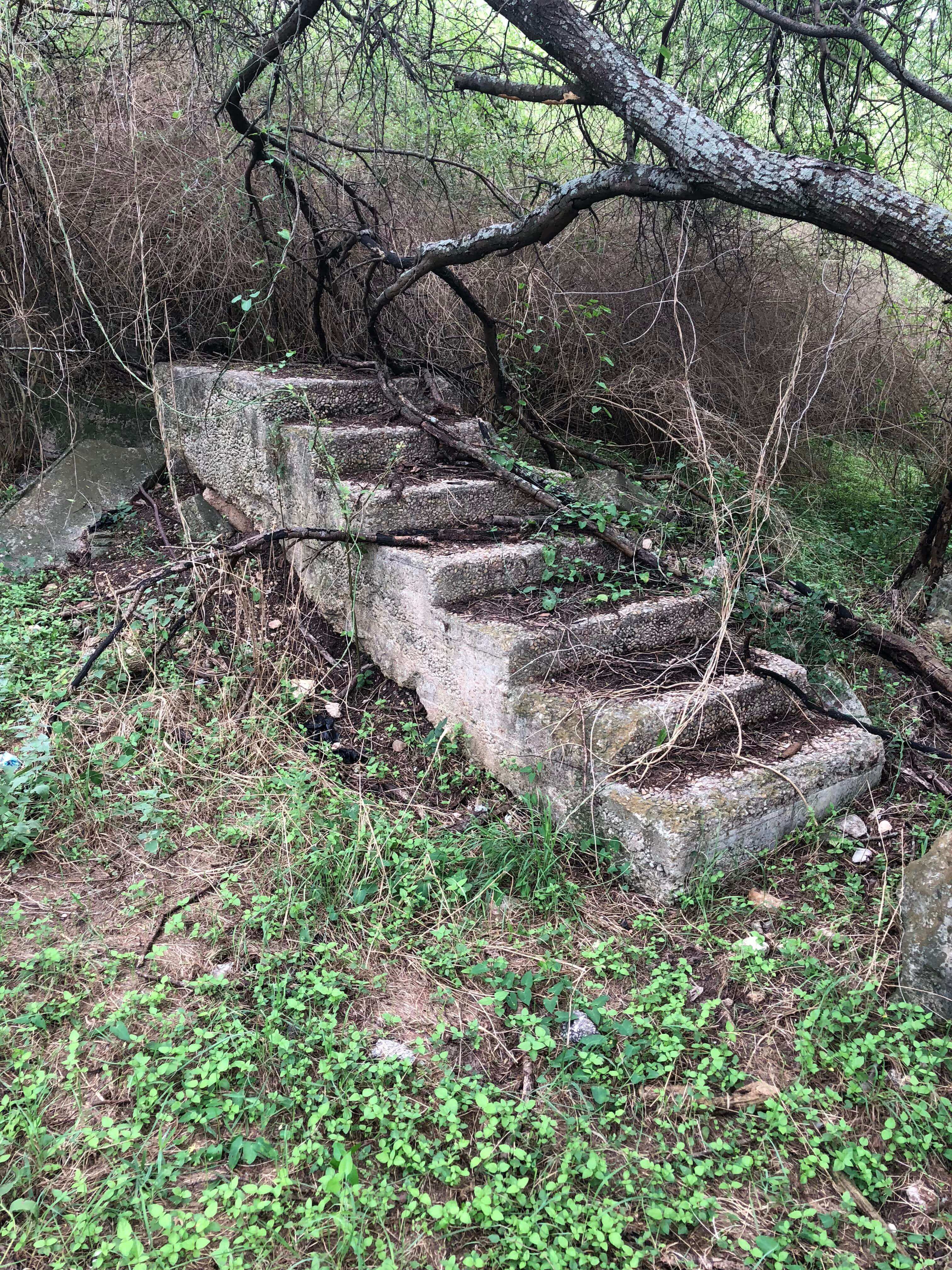 10+ Random Stairs in The Woods Taken From Reddit The Architecture Designs