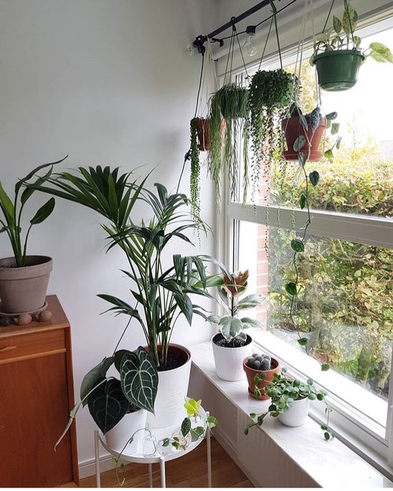 Most Attractive Window Ledge Decor Ideas