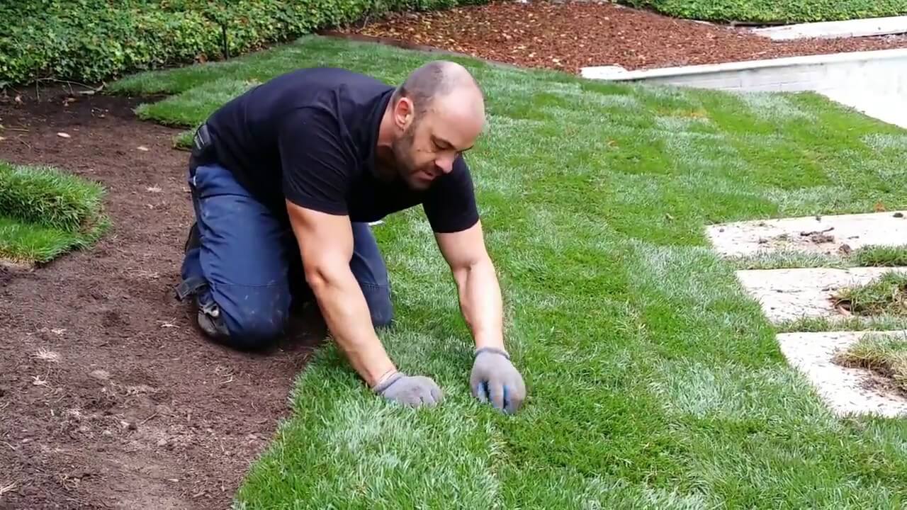 Useful Guide for Successful Turf Laying Ideas!