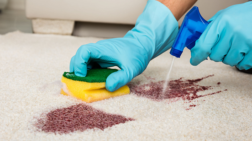 5 Of The Toughest Stains That Carpet Cleaning in Can Remove