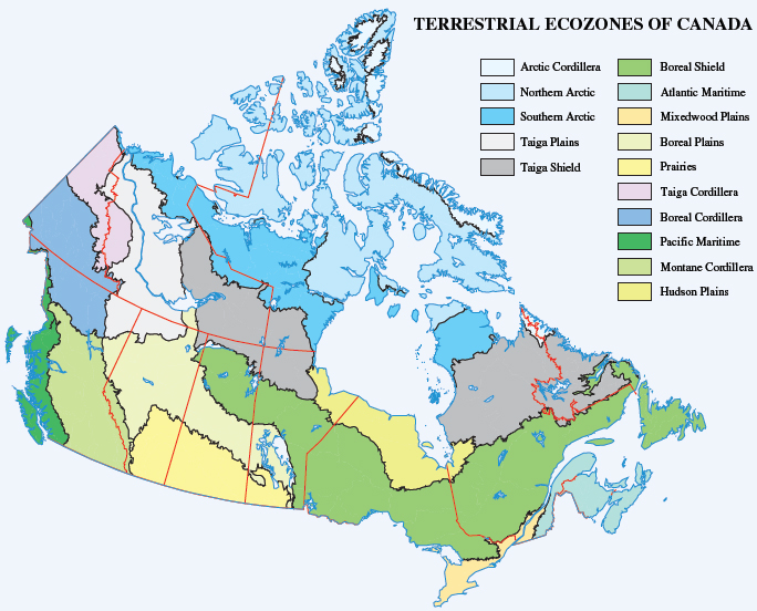 Ecozone Map Of Canada The 15 Terrestrial Ecozones in Canada The Arctic Cordillera