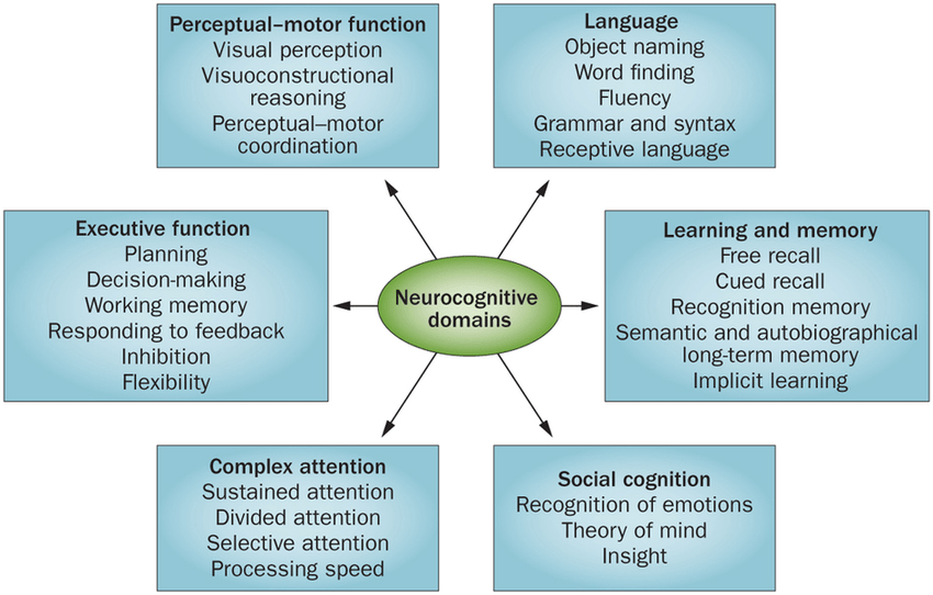 How Occupational Therapists Can Help With a Concussion
