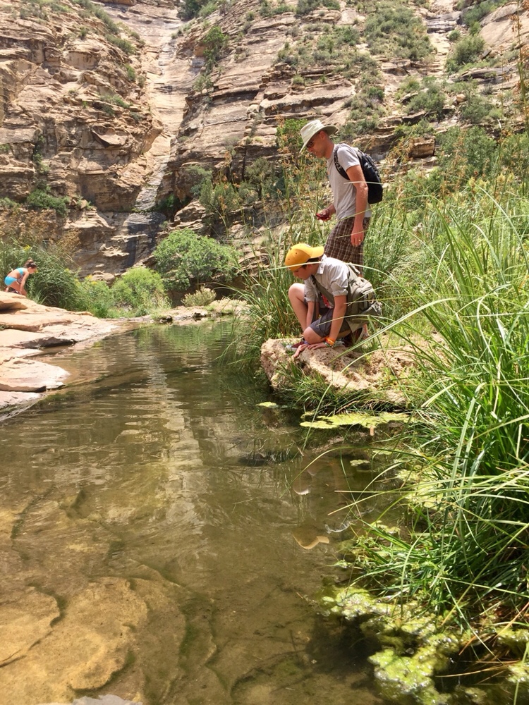 Bat Flight Carlsbad, New Mexico The Arnold Experience
