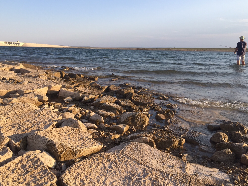 Bat Flight Carlsbad, New Mexico The Arnold Experience