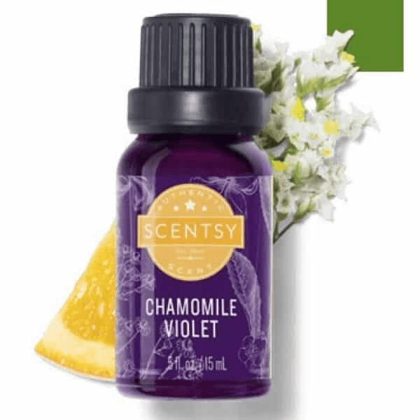 Best Scentsy Oils The Aroma Guide
