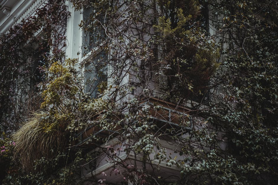 How To Get Architecture License The Art Bay