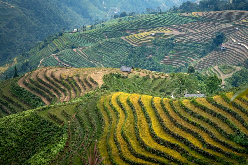 How To Live On Land While Building A House The Art Bay