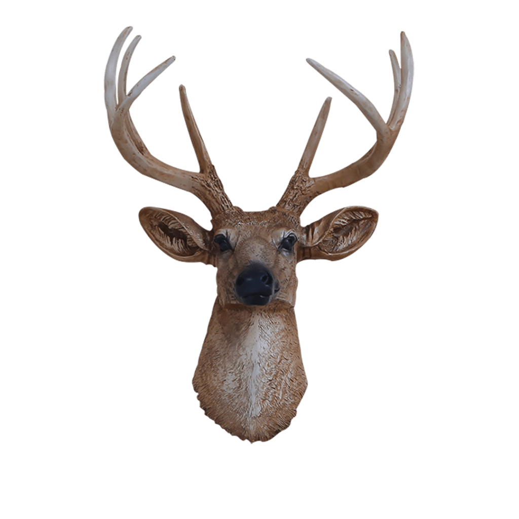 Nordic Deer Wall Mount Trophy Resin Taxidermy The Artifacts Gallery
