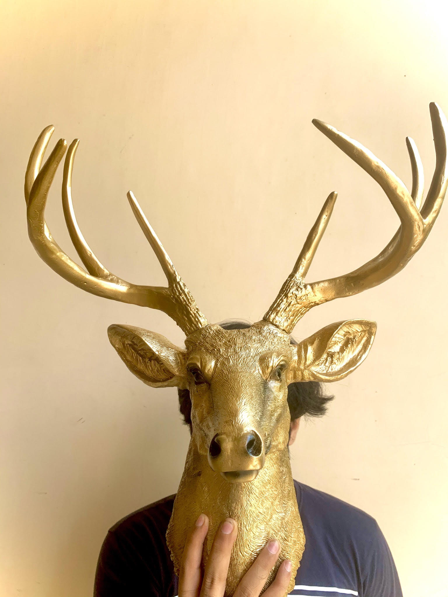 Golden Deer Wall Mount Trophy Resin Taxidermy The Artifacts Gallery