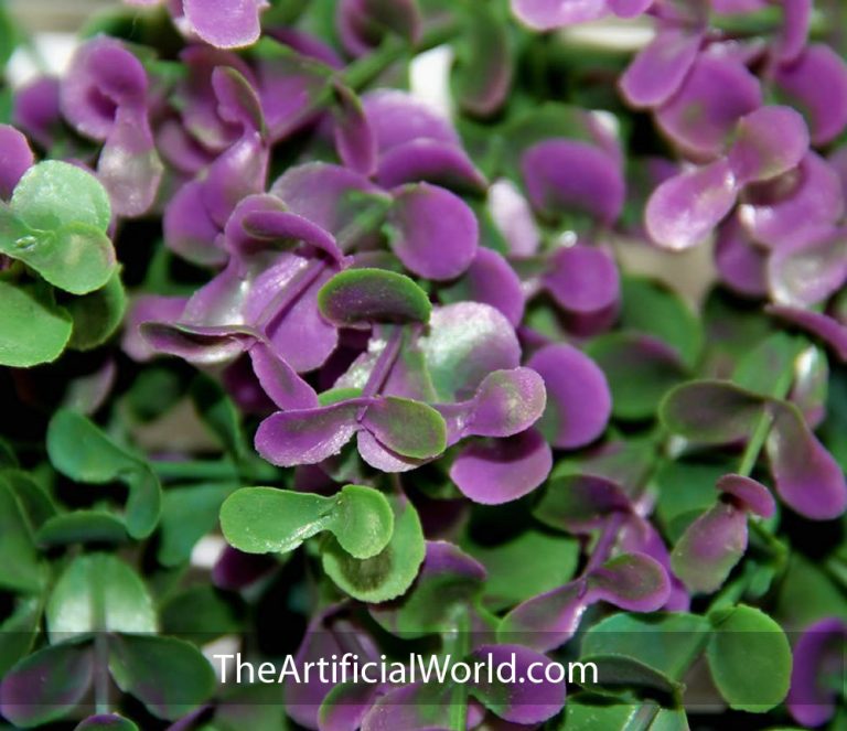 Purple Boxwood Hedge Mats Artificial hedges Walls living wallsthe