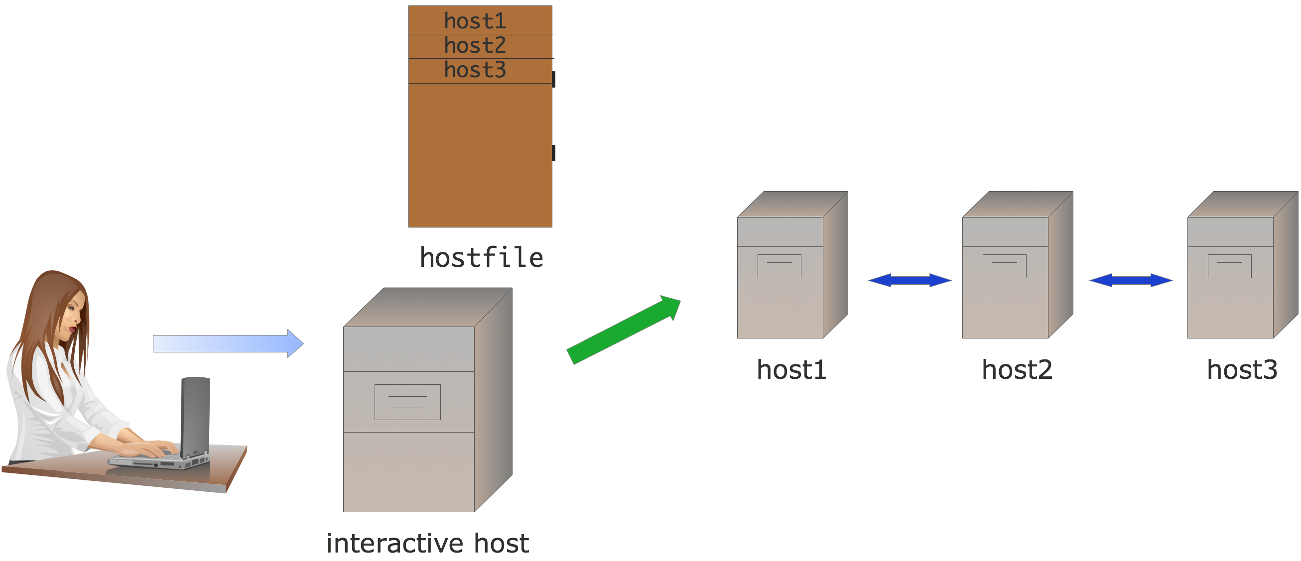 FIGURE 1.1: Interactive MPI setup