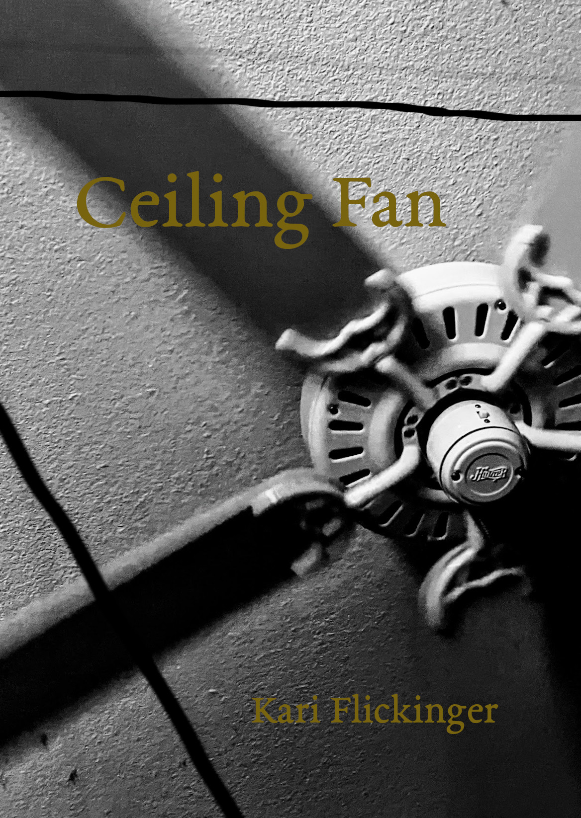 Publications Kari Flickinger