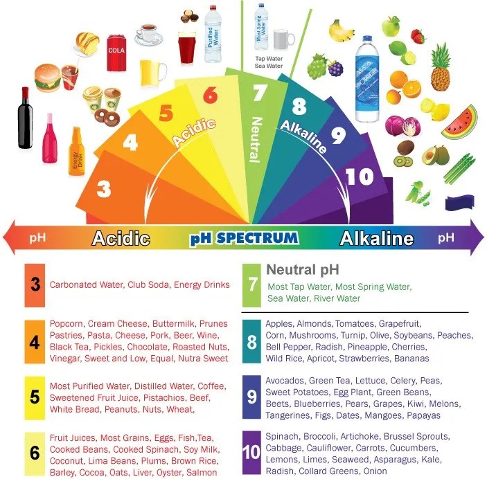 Understanding your body's pH and How an Acid or Alkaline balance can
