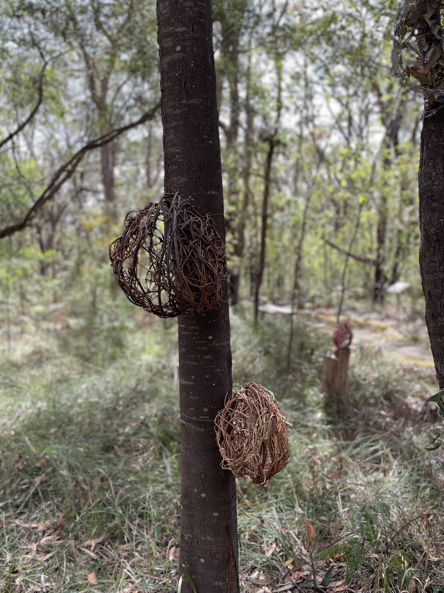 Kuringgai Sculpture Trail