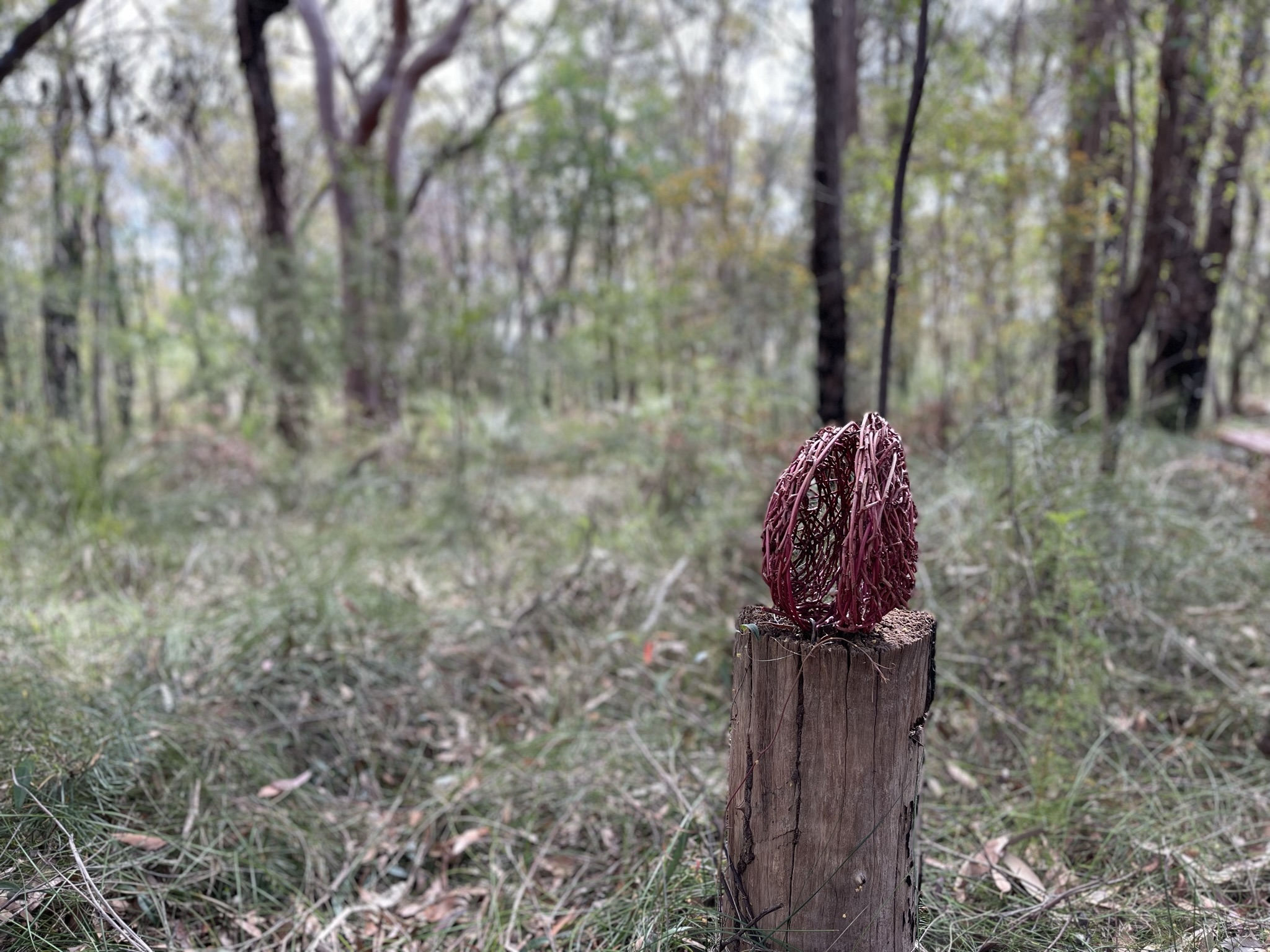 Kuringgai Sculpture Trail