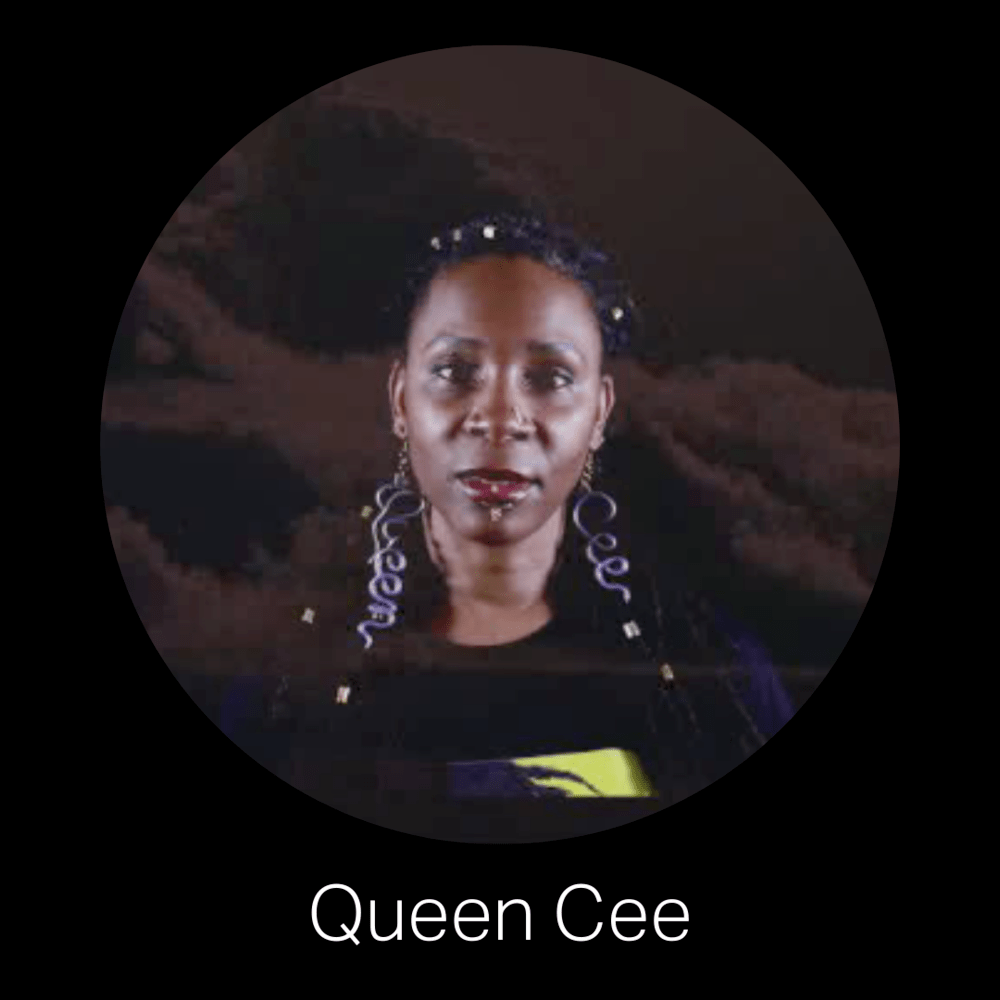 York Gallery Inside The World of Dollylama Queen Dollylama