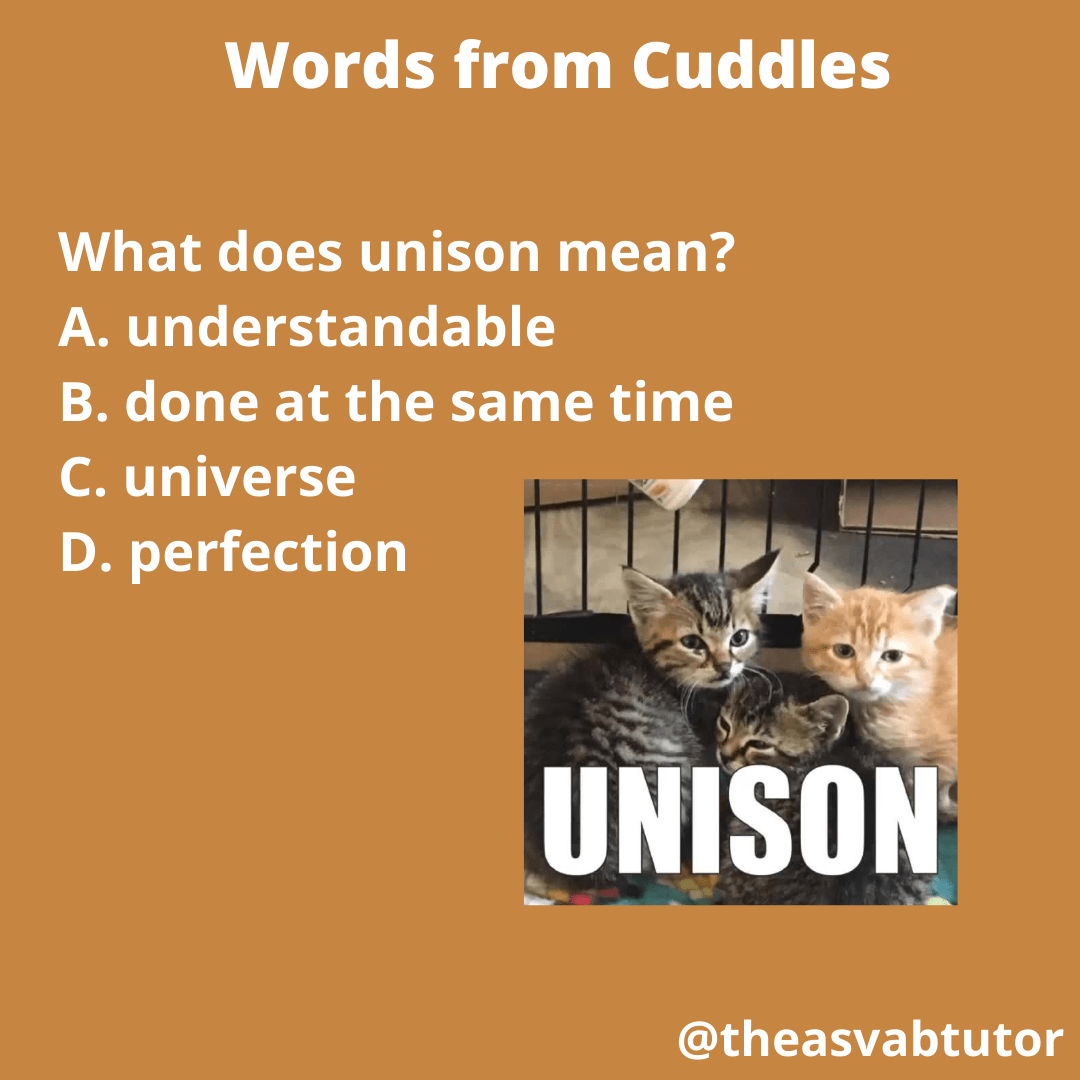 The ASVAB Tutor Presents the Word "Unison" The ASVAB Tutor
