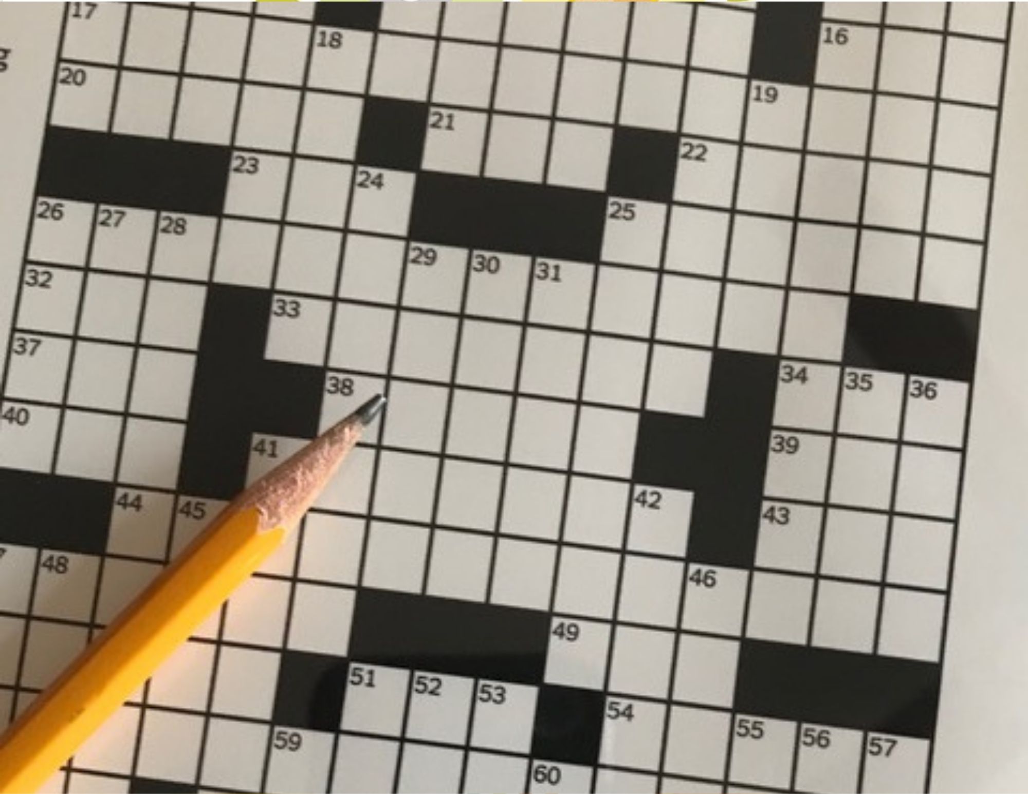 Crossword The Auricle