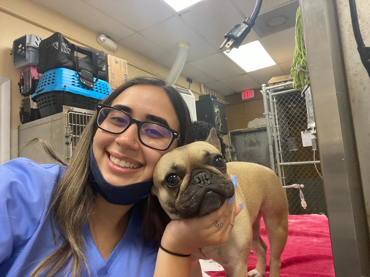 Contact Our Cutler Bay Veterinarians at Aussie Animal Hospital