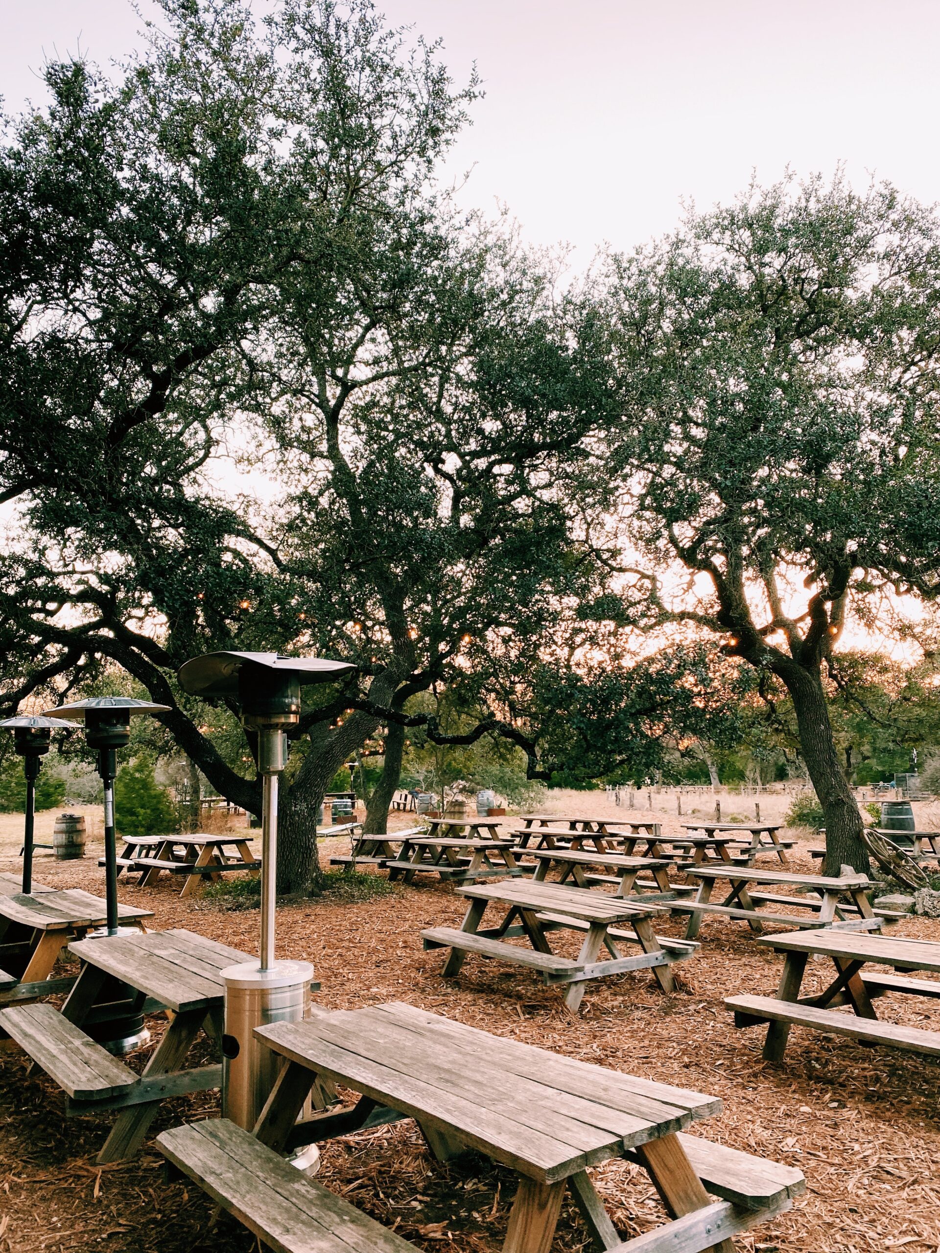 24 Great Spots For Easter Brunch In Austin (2024) The Austin Things