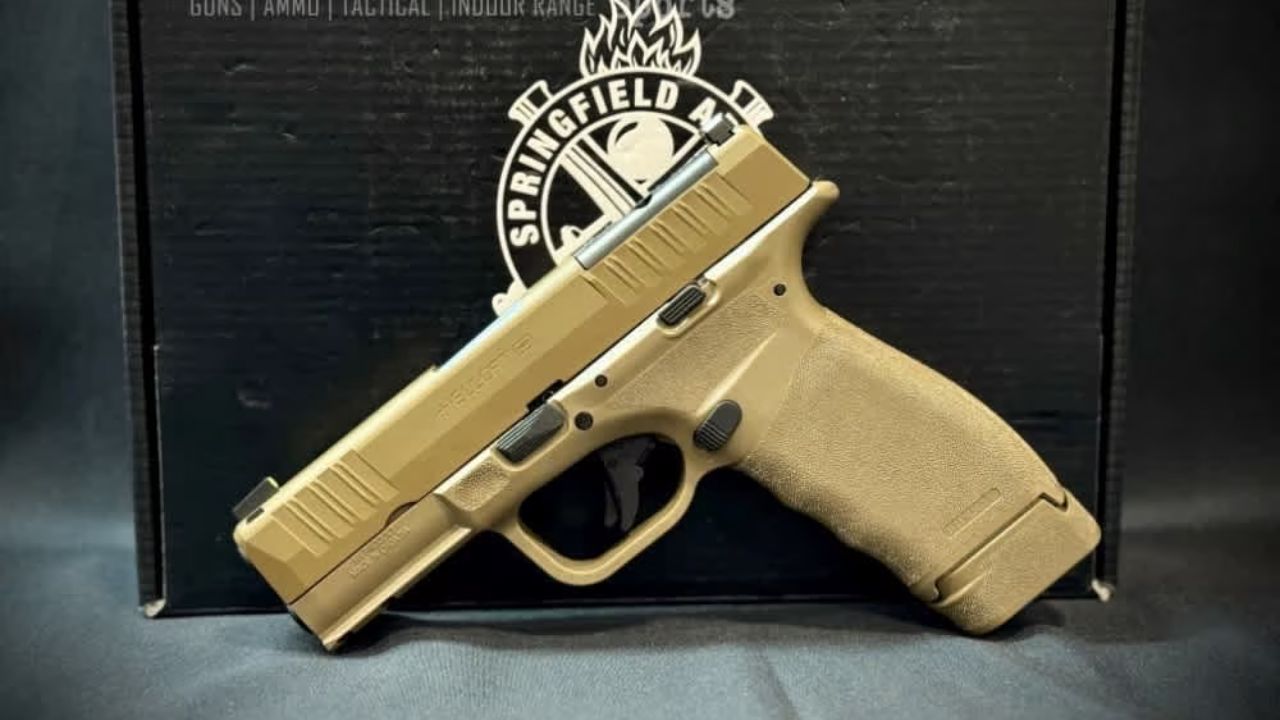 The most accurate pistols for EDC The Avid Outdoorsman