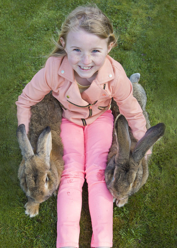 Say Hello To Darius The World's Biggest Rabbit
