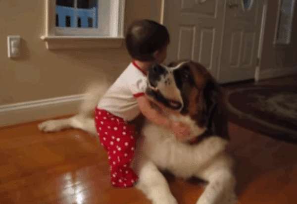 Dogs That Will Stop At Nothing To Make Kids Happy