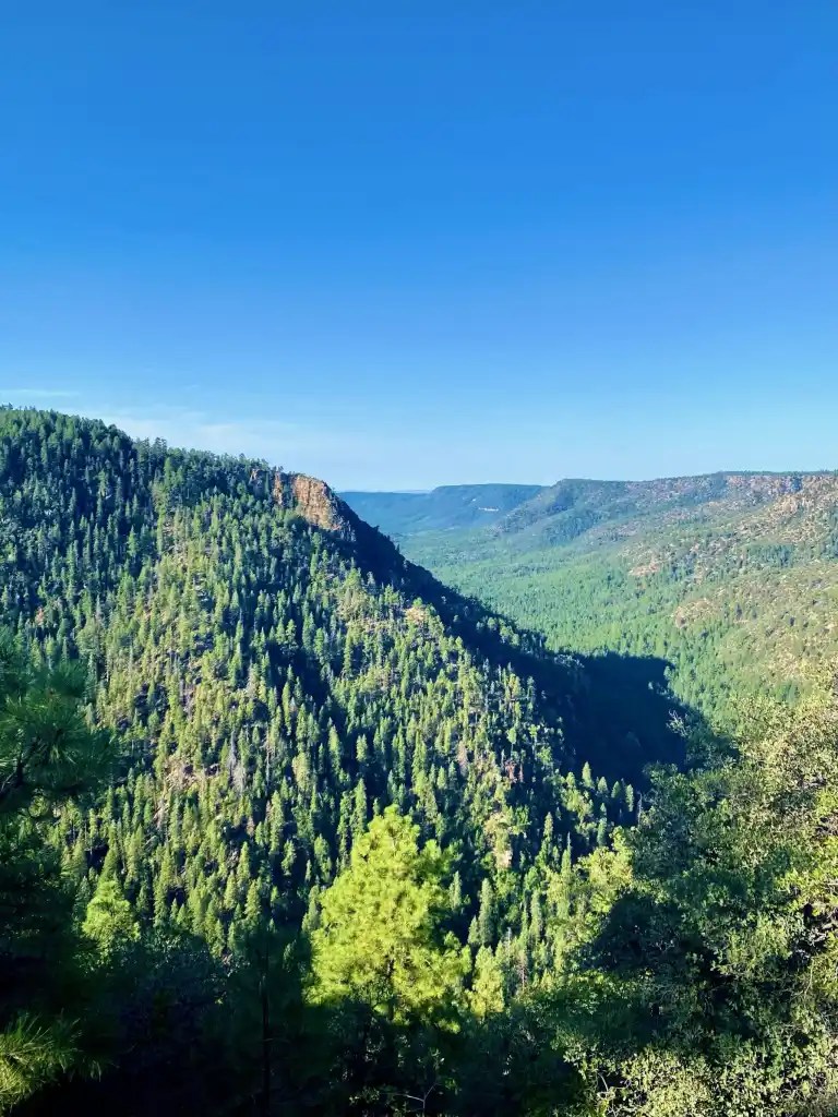 What To Do In Strawberry, Arizona