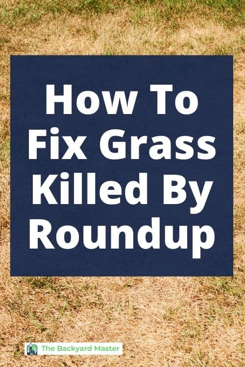 Oh No, My Lawn Looks Worse After Roundup! How to Fix Grass Killed by
