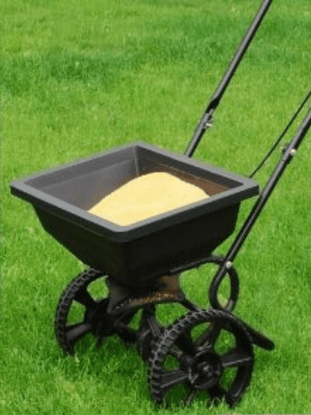 The Best Weed and Feeds 2022 Edition Story The Backyard Master