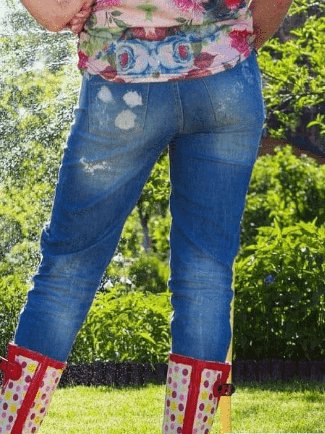 6 Best Liquid Lawn Fertilizer Concentrates Story - The Backyard Master