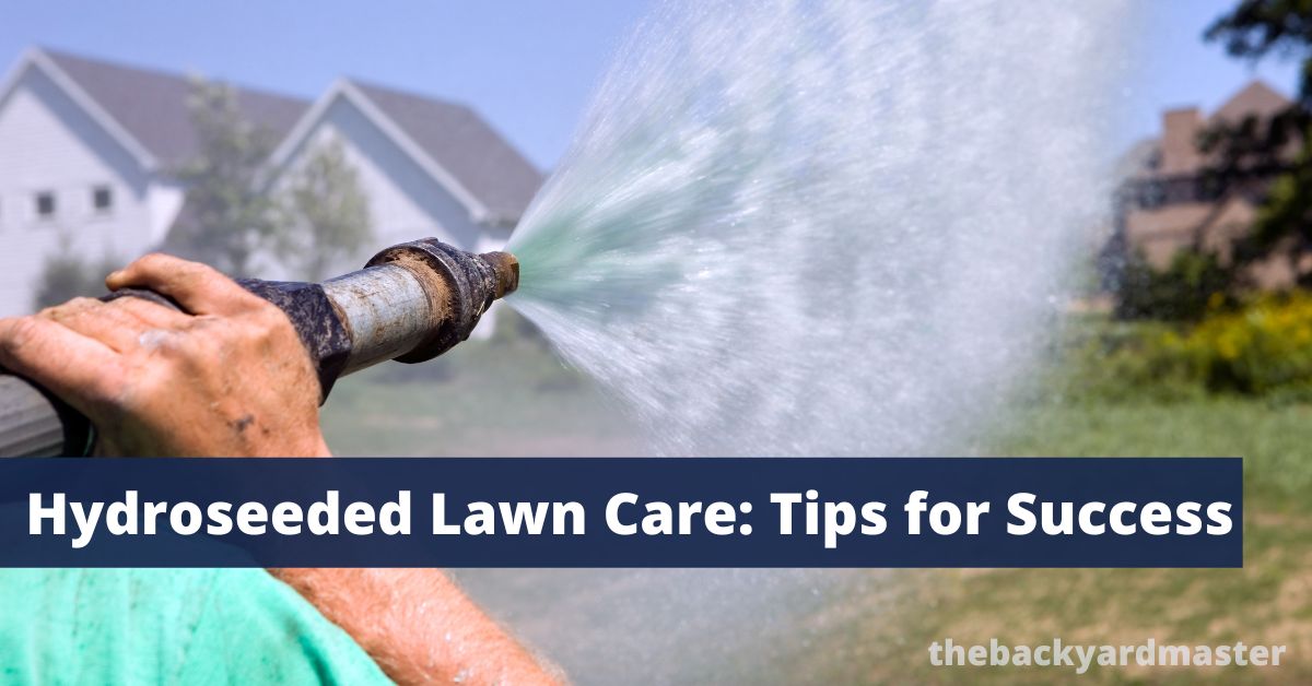 How to Care for Your Newly Hydroseeded Lawn The Backyard Master