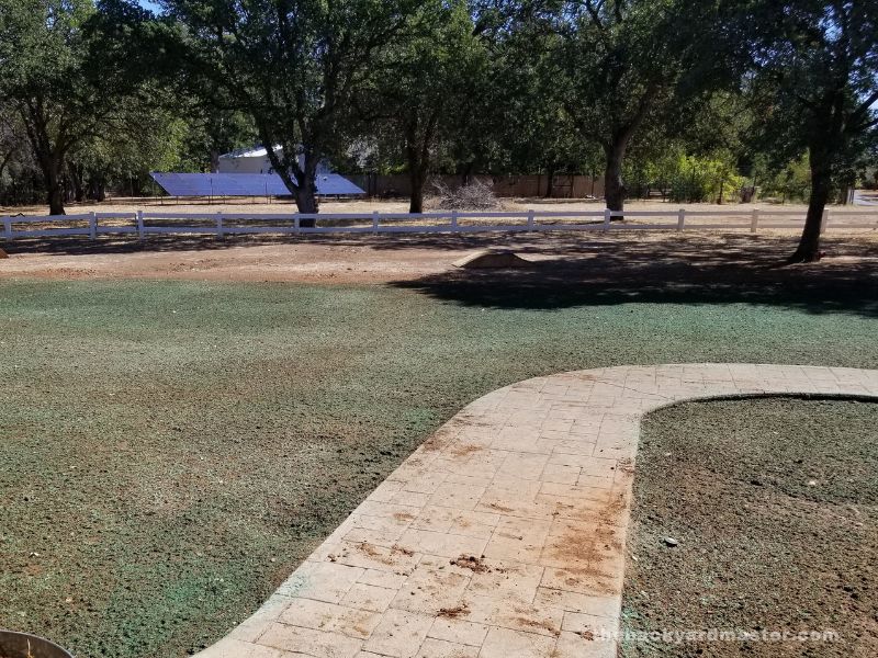 How to Care for Your Newly Hydroseeded Lawn The Backyard Master