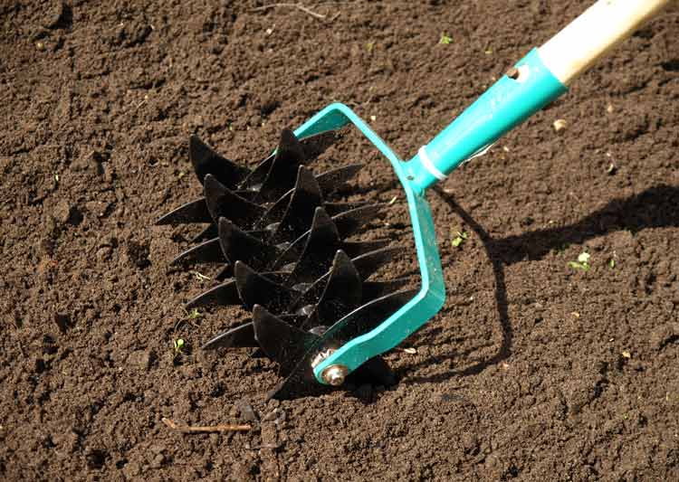 5 Ways to Improve Waterlogged Soil The Backyard Pros