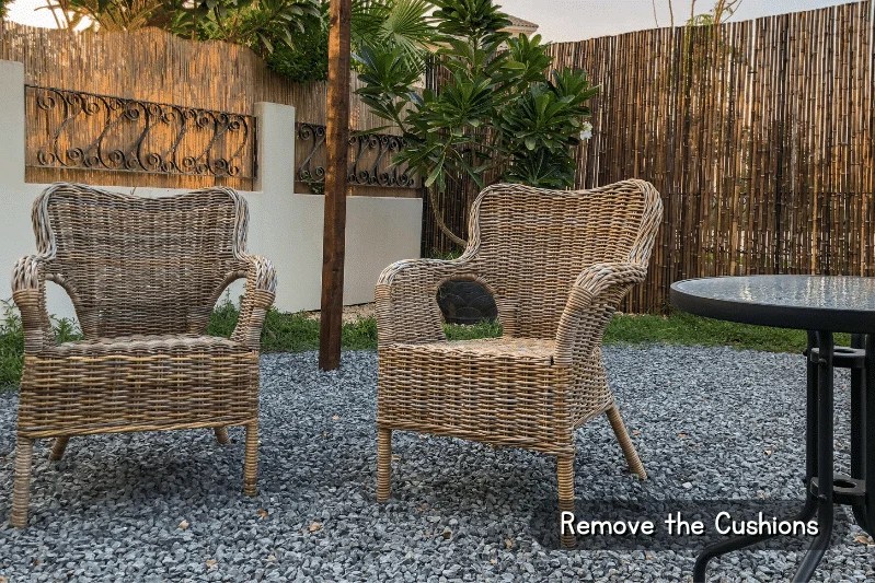 How to Keep Cats from Peeing on Outdoor Furniture? (7 Ways) The