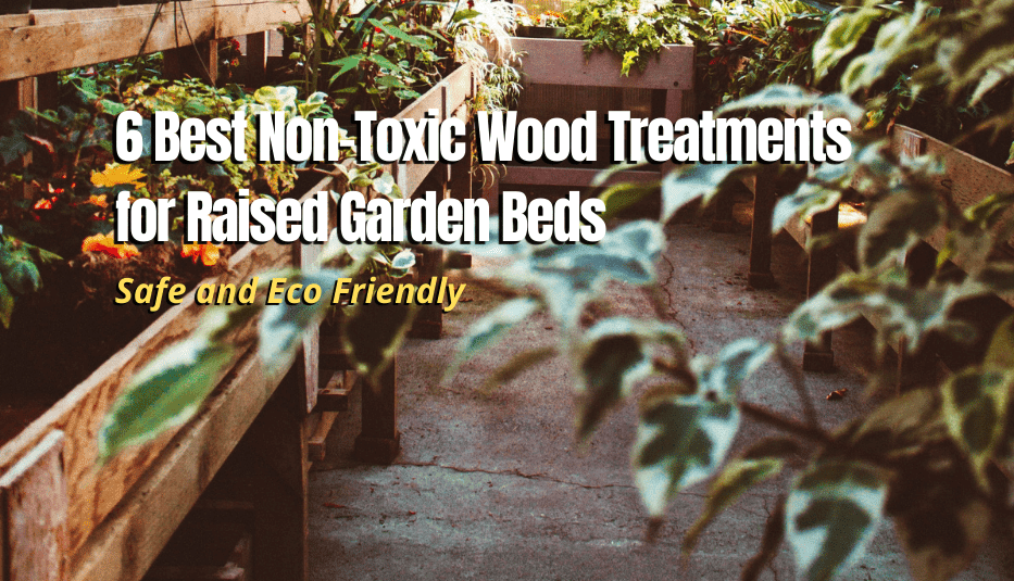 6 Best NonToxic Wood Treatments for Raised Garden Beds The Backyard Pros
