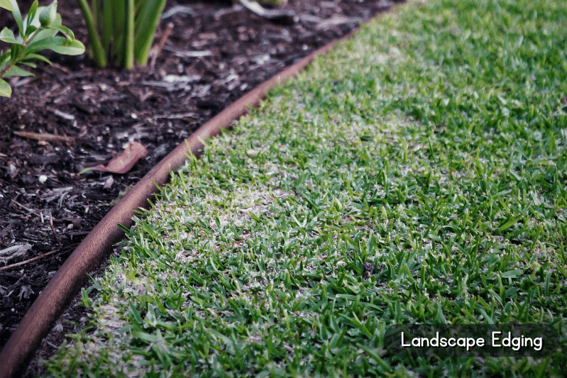 Will Grass Grow Through Mulch? (All You Need to Know) The Backyard Pros