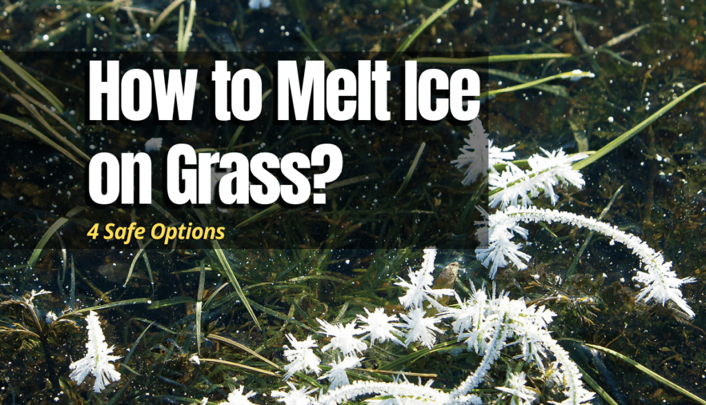 How to Melt Ice on Grass? (4 Safe Options) The Backyard Pros