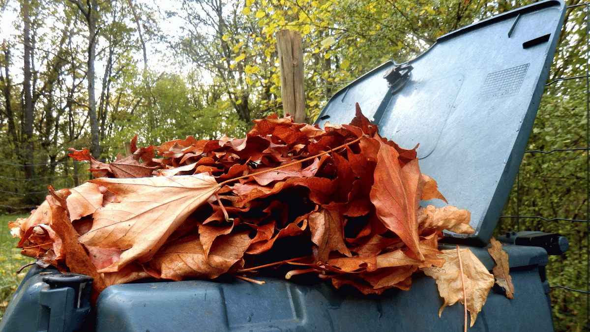 Fall Composting How to Make the Most of Autumn Leaves The Backyard