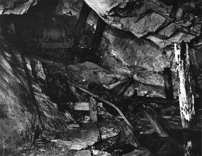 Photographs of and by Bryce