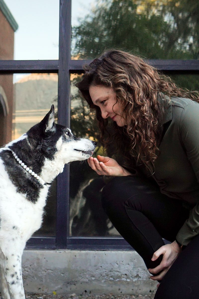 Veterinarian in Oro Valley, AZ The Bailey Veterinary Medical Center