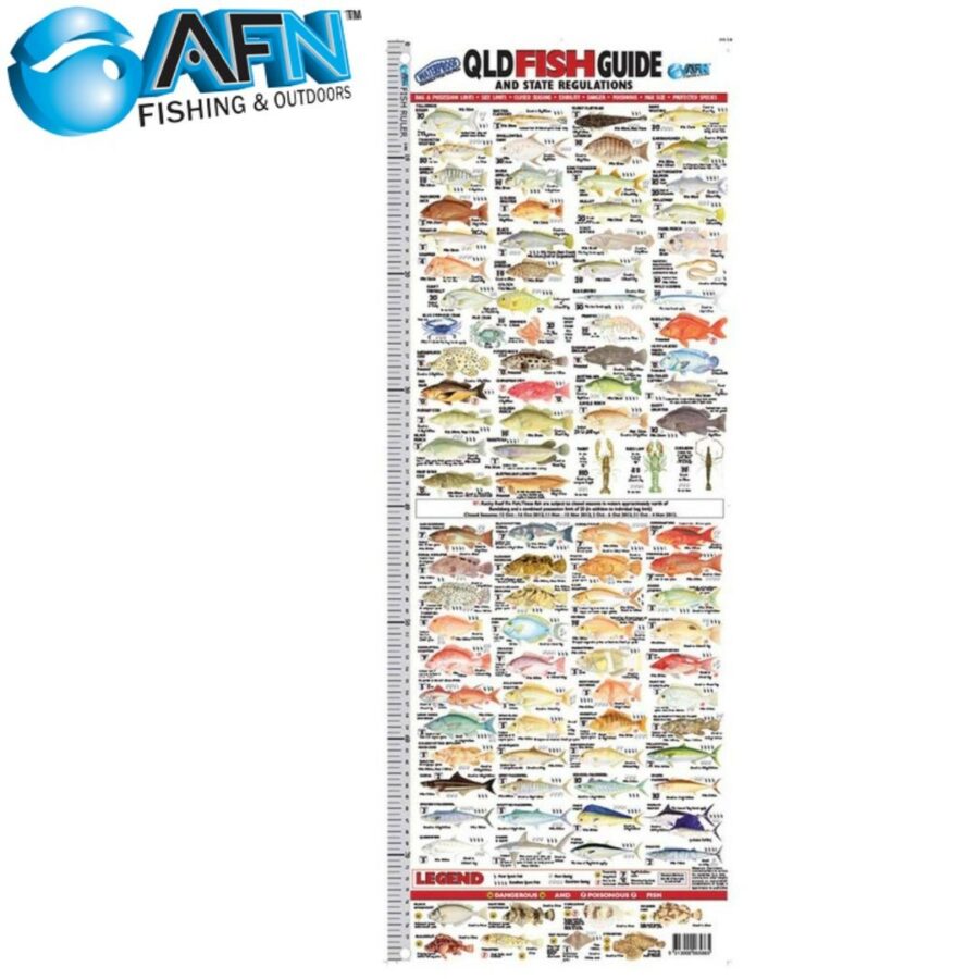 AFN Queensland Fish ID Ruler The Bait Shop Gold Coast